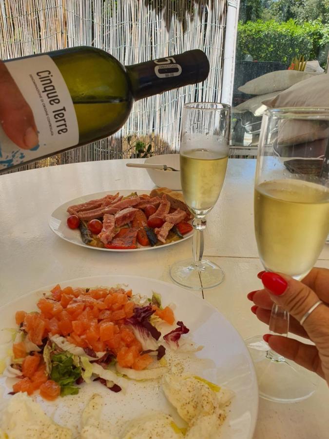 Domusauroom, Relax Nel Cuore Della Versilia - Pet Friendly Viareggio Bagian luar foto