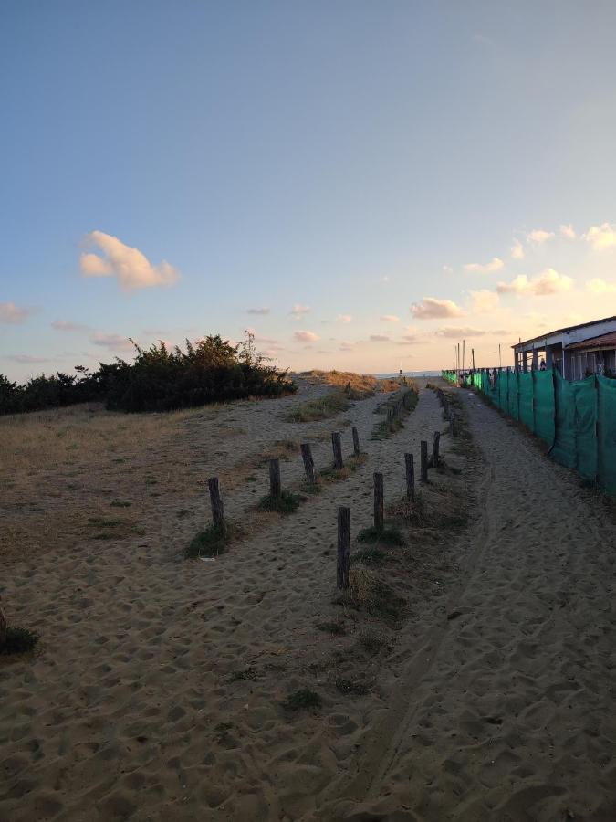 Domusauroom, Relax Nel Cuore Della Versilia - Pet Friendly Viareggio Bagian luar foto