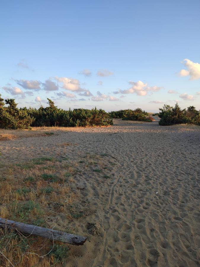 Domusauroom, Relax Nel Cuore Della Versilia - Pet Friendly Viareggio Bagian luar foto