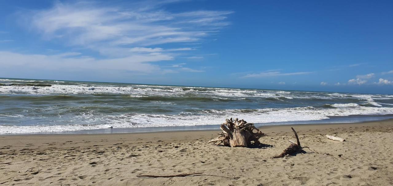 Domusauroom, Relax Nel Cuore Della Versilia - Pet Friendly Viareggio Bagian luar foto
