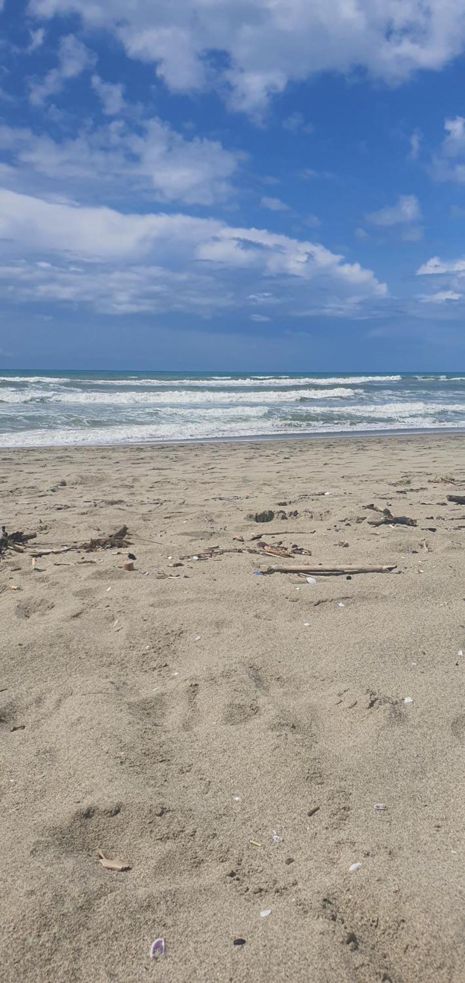 Domusauroom, Relax Nel Cuore Della Versilia - Pet Friendly Viareggio Bagian luar foto