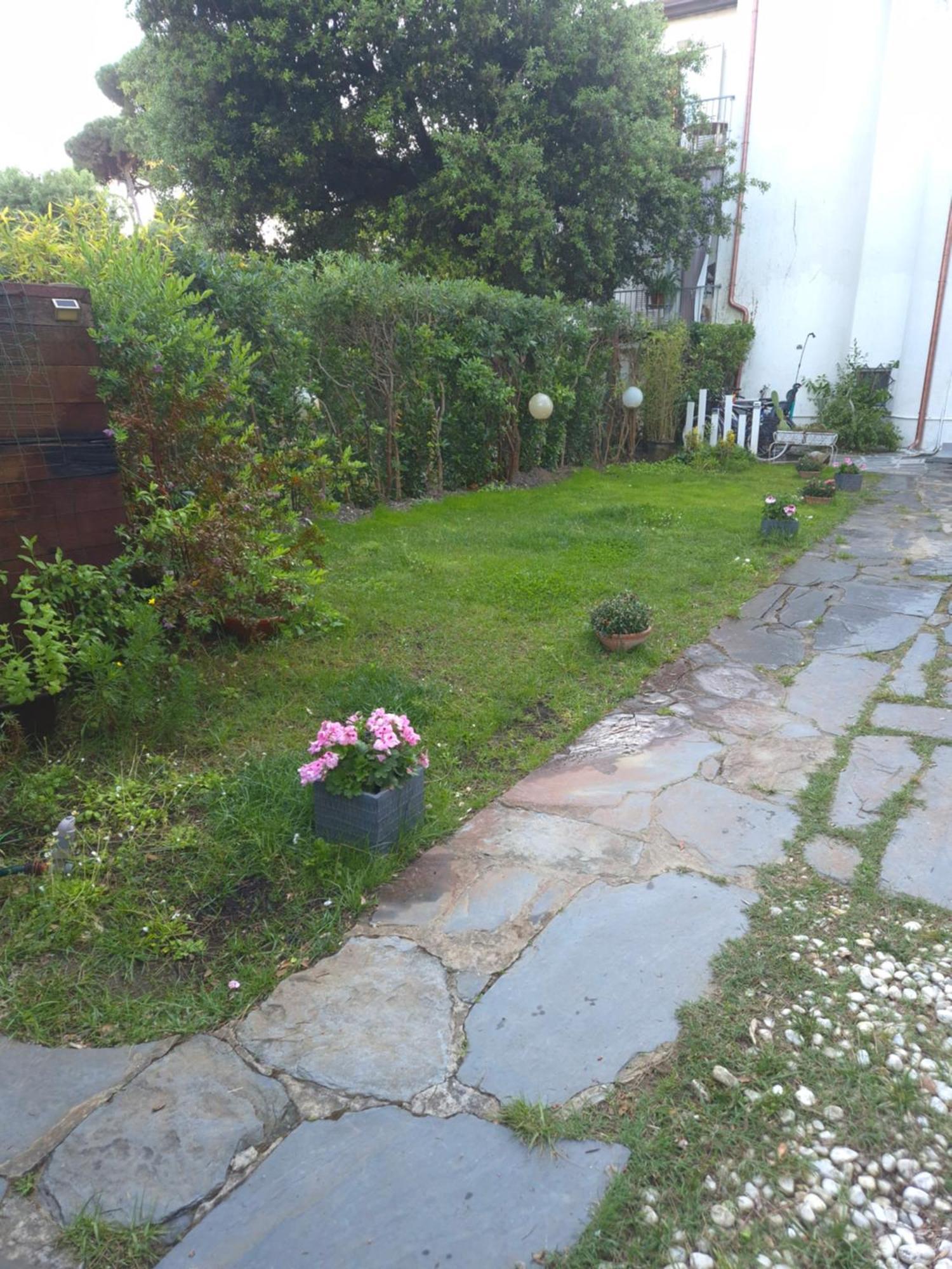 Domusauroom, Relax Nel Cuore Della Versilia - Pet Friendly Viareggio Bagian luar foto