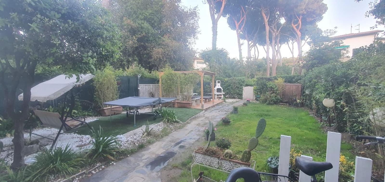 Domusauroom, Relax Nel Cuore Della Versilia - Pet Friendly Viareggio Bagian luar foto