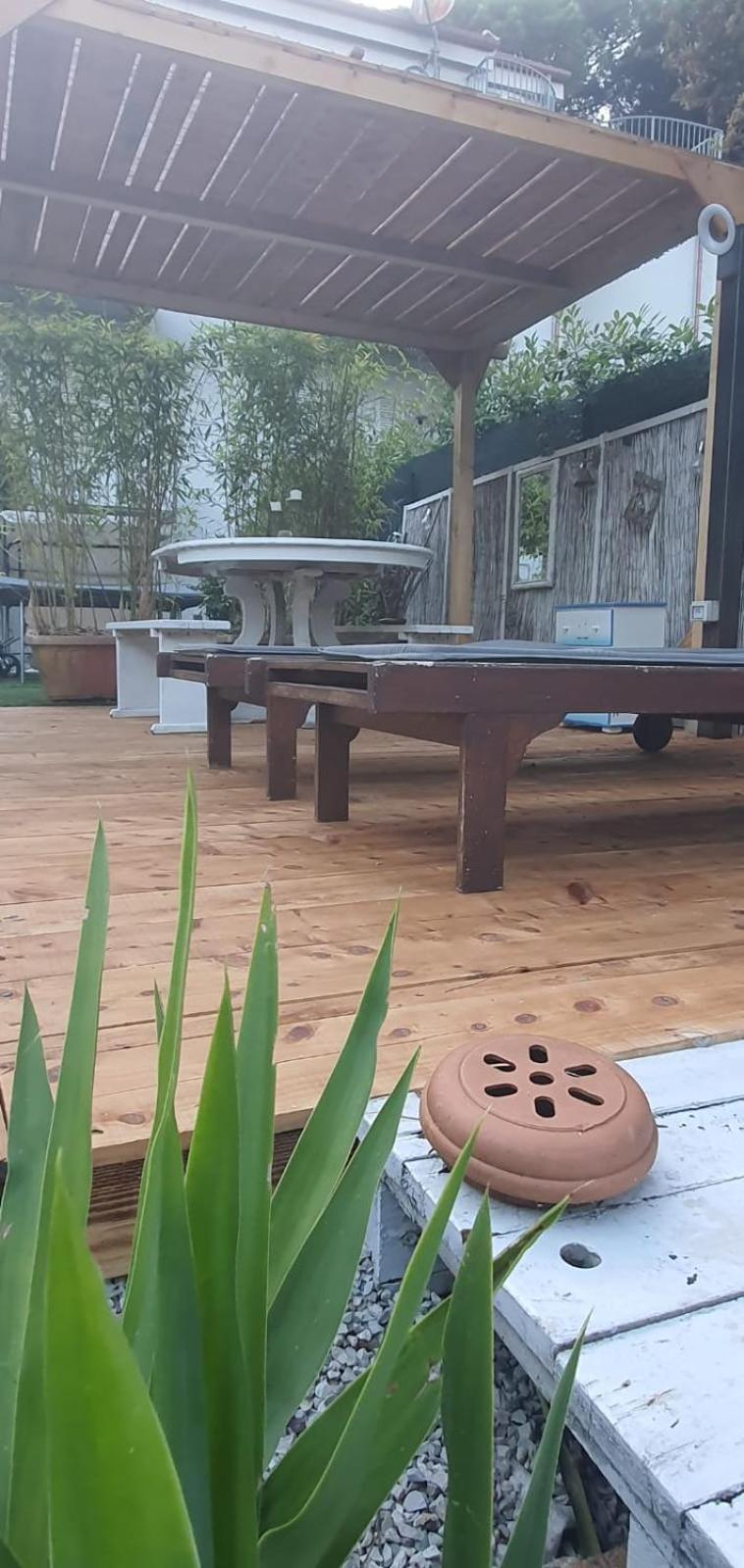 Domusauroom, Relax Nel Cuore Della Versilia - Pet Friendly Viareggio Bagian luar foto