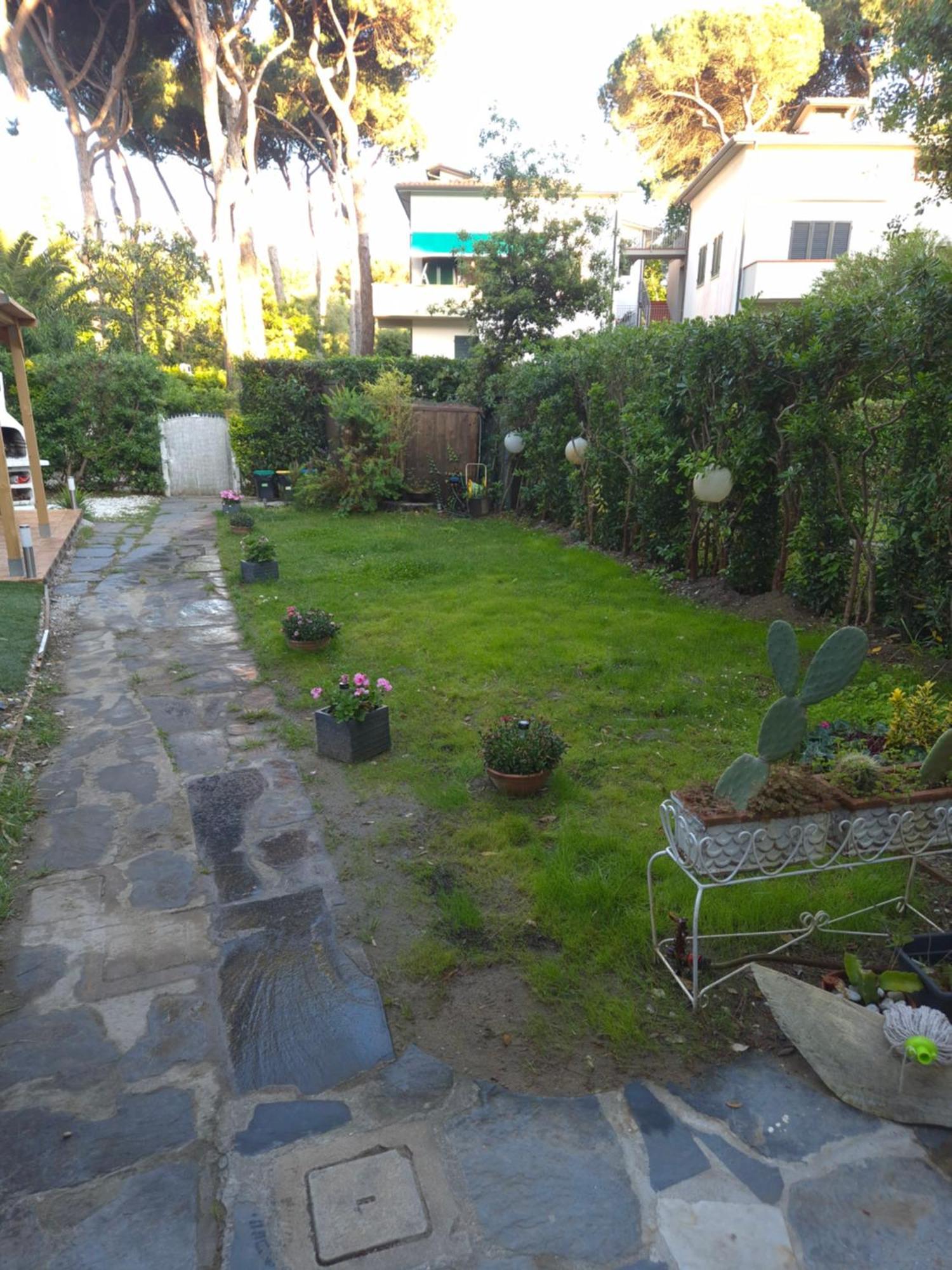 Domusauroom, Relax Nel Cuore Della Versilia - Pet Friendly Viareggio Bagian luar foto
